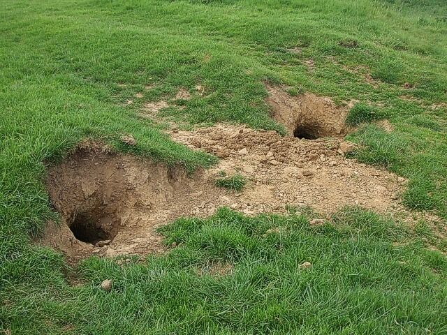 A grassy field with two large holes.