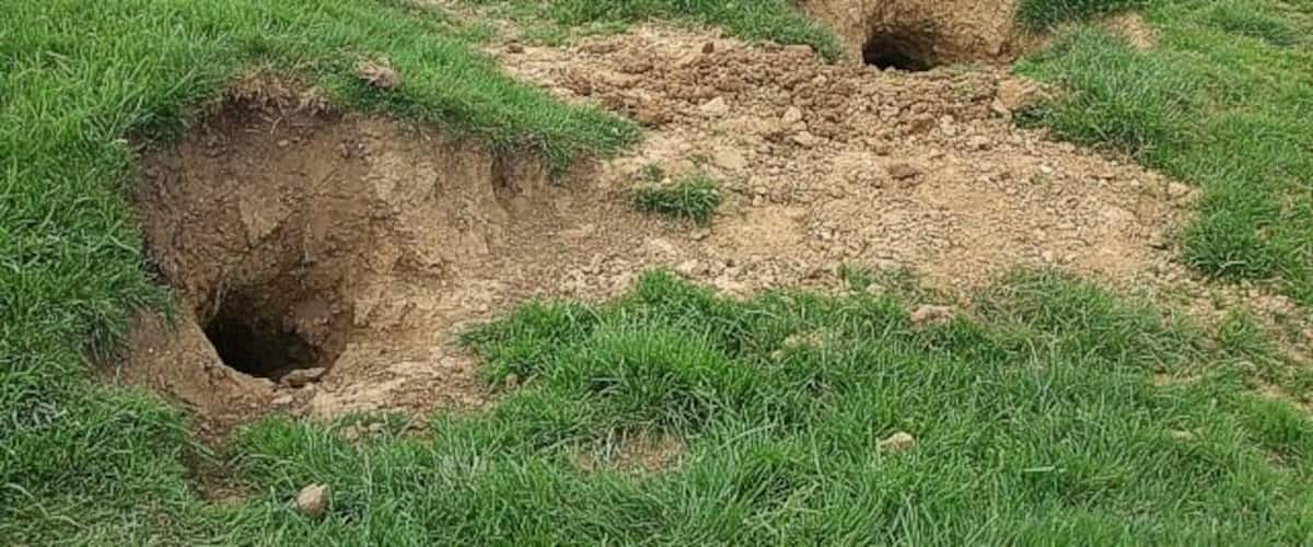 A grassy field with two large holes.