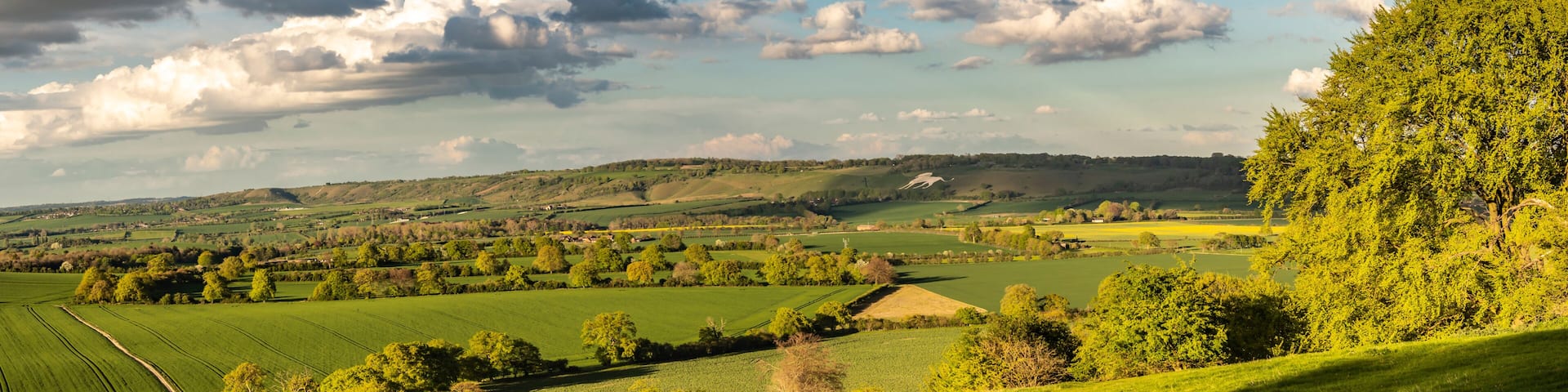 Rolling green hills, a clear sky, and a distant tree line.