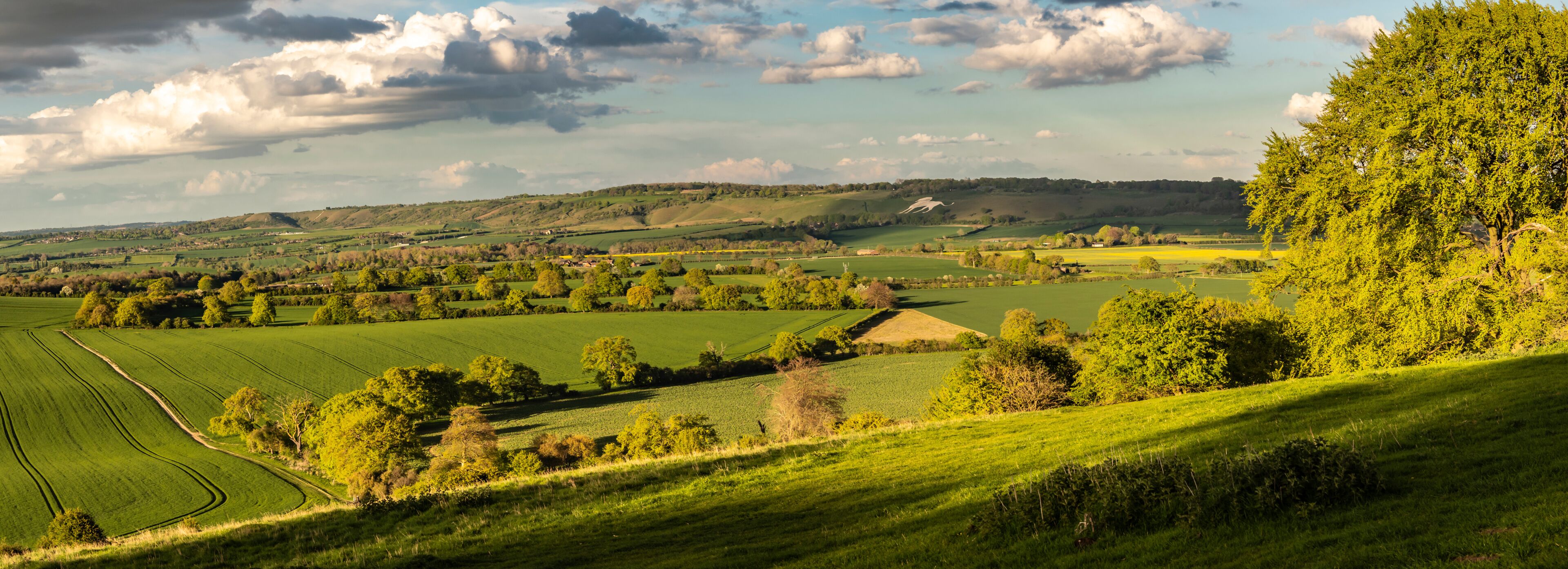 Rolling green hills, a clear sky, and a distant tree line.