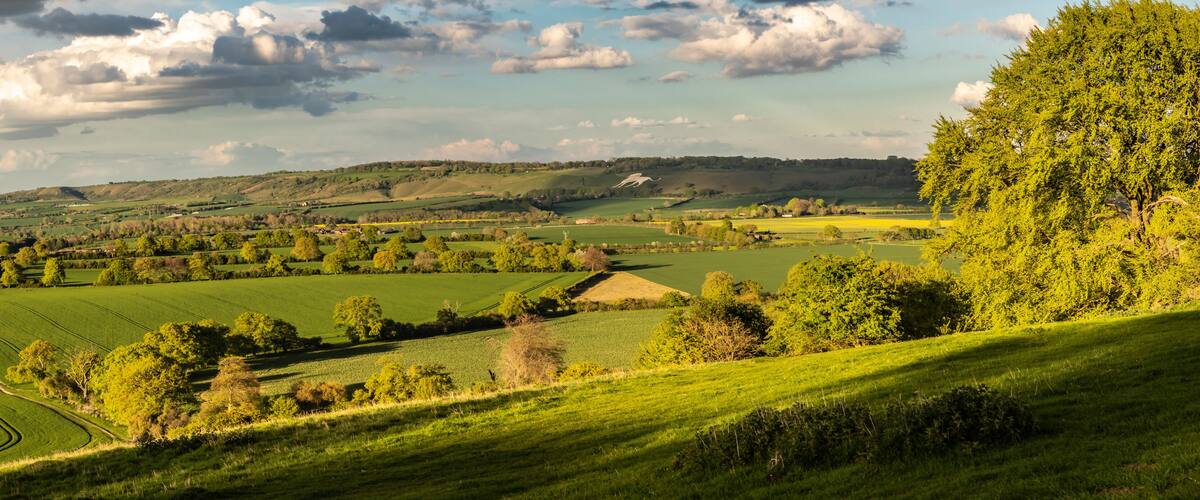 Rolling green hills, a clear sky, and a distant tree line.