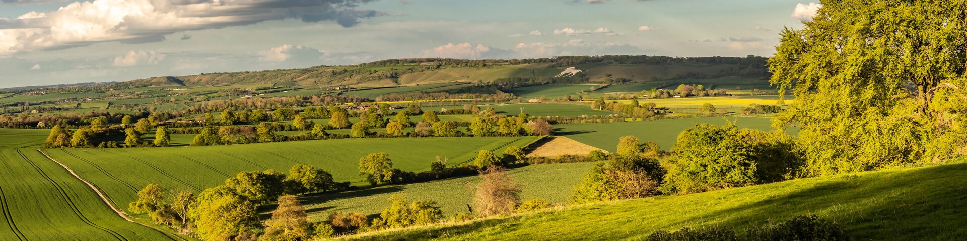 Rolling green hills, a clear sky, and a distant tree line.