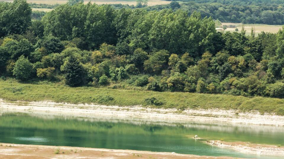 A river with a forested hillside in the background.