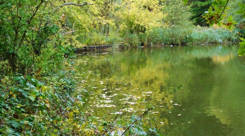 The Southern End of the Lake, Stockgrove Park