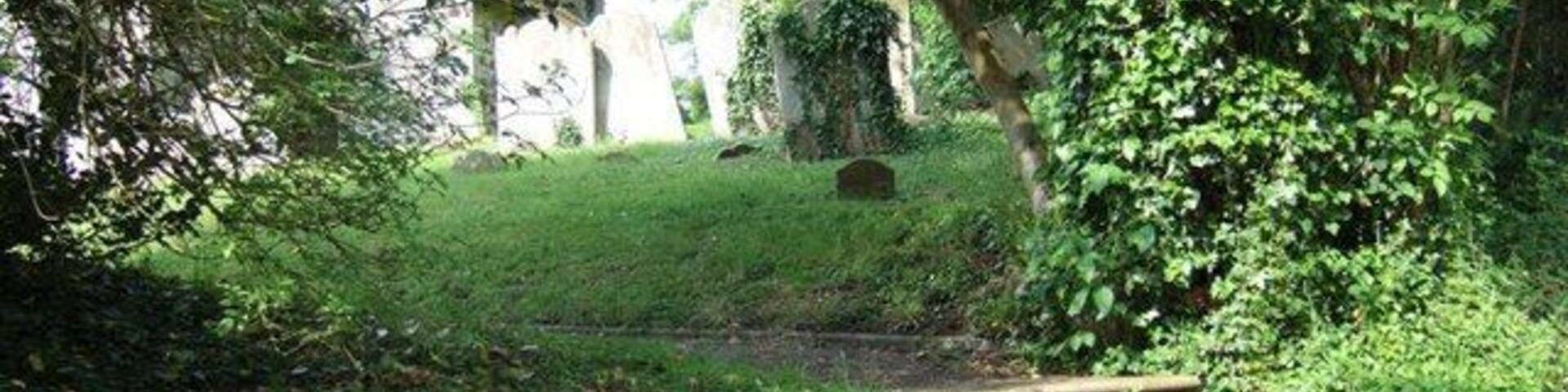 Una escalera de madera que asciende por una ladera cubierta de hierba en un área boscosa.