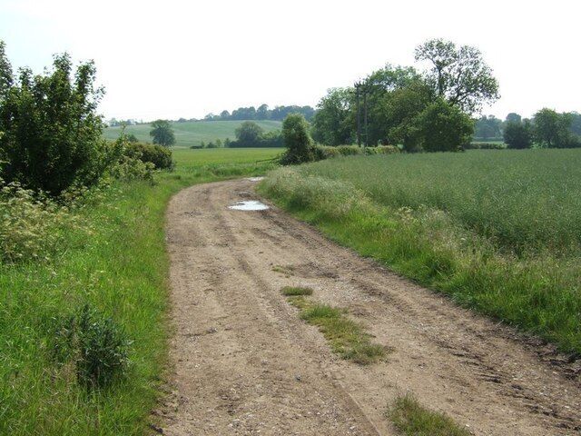 Hockliffe Grounds. Looking back down the track to Grounds Farm, Hockliffe. Just beyond this bend was a quite deep, very muddy puddle straddling the whole track.