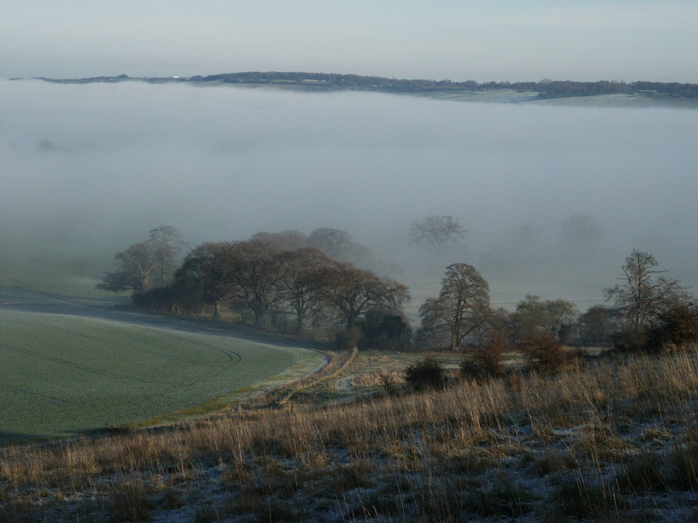 A view from the field next to the Ivinghoe Beacon car park looking west across the valley towards Dunstable Downs, Whipsnade Zoo and the Whipsnade white lion (hidden in the mist). The photo was taken in the early afternoon in late December. The rays of the sun just skim the hillside in the foreground and illuminate the mist in the valley below.