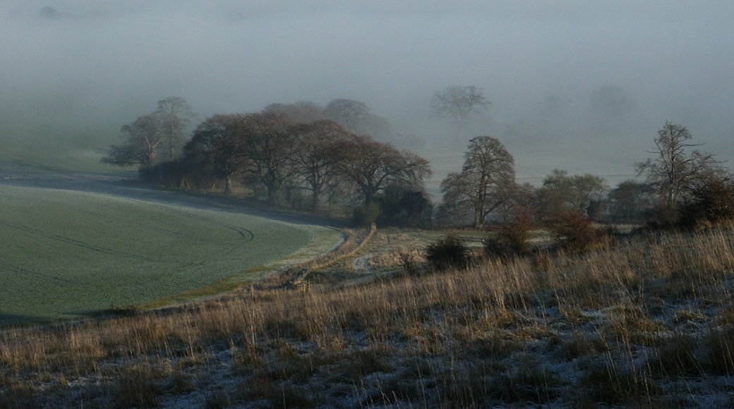 A view from the field next to the Ivinghoe Beacon car park looking west across the valley towards Dunstable Downs, Whipsnade Zoo and the Whipsnade white lion (hidden in the mist). The photo was taken in the early afternoon in late December. The rays of the sun just skim the hillside in the foreground and illuminate the mist in the valley below.
