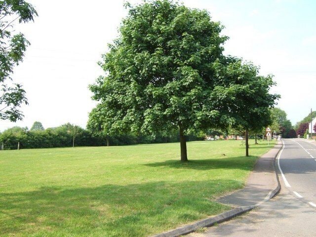 The Green, Stanbridge. Taken from near the church this is the view across the Village Green in Stanbridge.