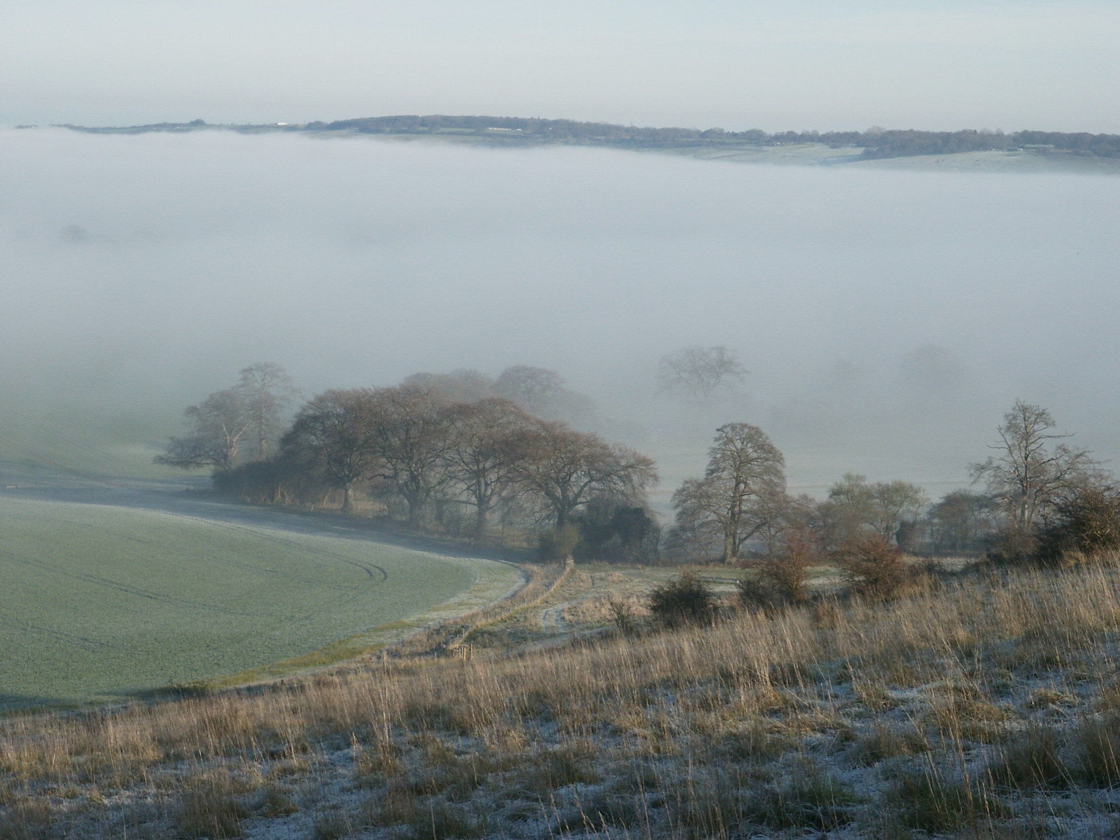 A view from the field next to the Ivinghoe Beacon car park looking west across the valley towards Dunstable Downs, Whipsnade Zoo and the Whipsnade white lion (hidden in the mist). The photo was taken in the early afternoon in late December. The rays of the sun just skim the hillside in the foreground and illuminate the mist in the valley below. This image was created from Image:Landscape-England-IvinghoeBeacon-2006-12-20-1.jpg by applying a gamma adjustment of 1.5 to lighten the shadows.