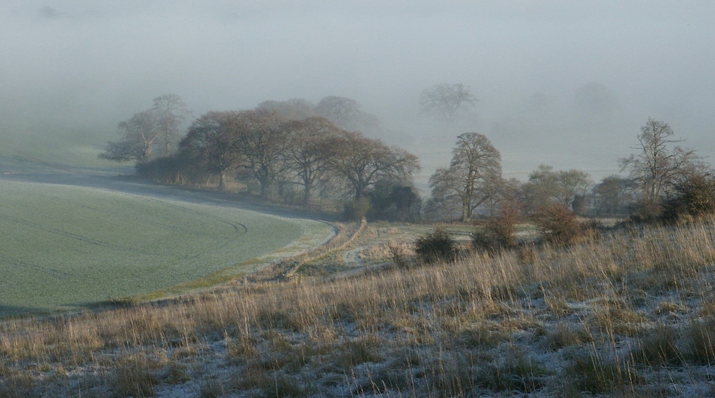 A view from the field next to the Ivinghoe Beacon car park looking west across the valley towards Dunstable Downs, Whipsnade Zoo and the Whipsnade white lion (hidden in the mist). The photo was taken in the early afternoon in late December. The rays of the sun just skim the hillside in the foreground and illuminate the mist in the valley below. This image was created from Image:Landscape-England-IvinghoeBeacon-2006-12-20-1.jpg by applying a gamma adjustment of 1.5 to lighten the shadows.