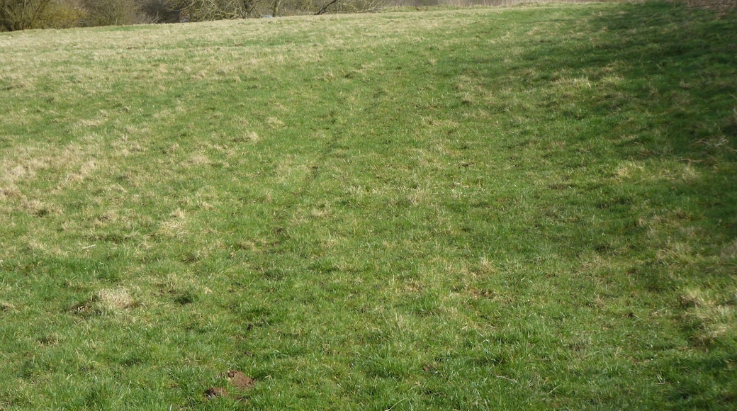 Bosworth Mill Meadow is a biological Site of Special Scientific Interest north-west of Welford in Northamptonshire.
