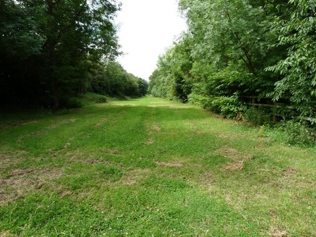 Track of the Rugby to Peterborough Railway This well-maintained grass is the track of the disused Rugby to Peterborough railway. Walk from Husbands Bosworth church down towards the Grand Union Canal and you will cross the old railway track just before you reach the canal.