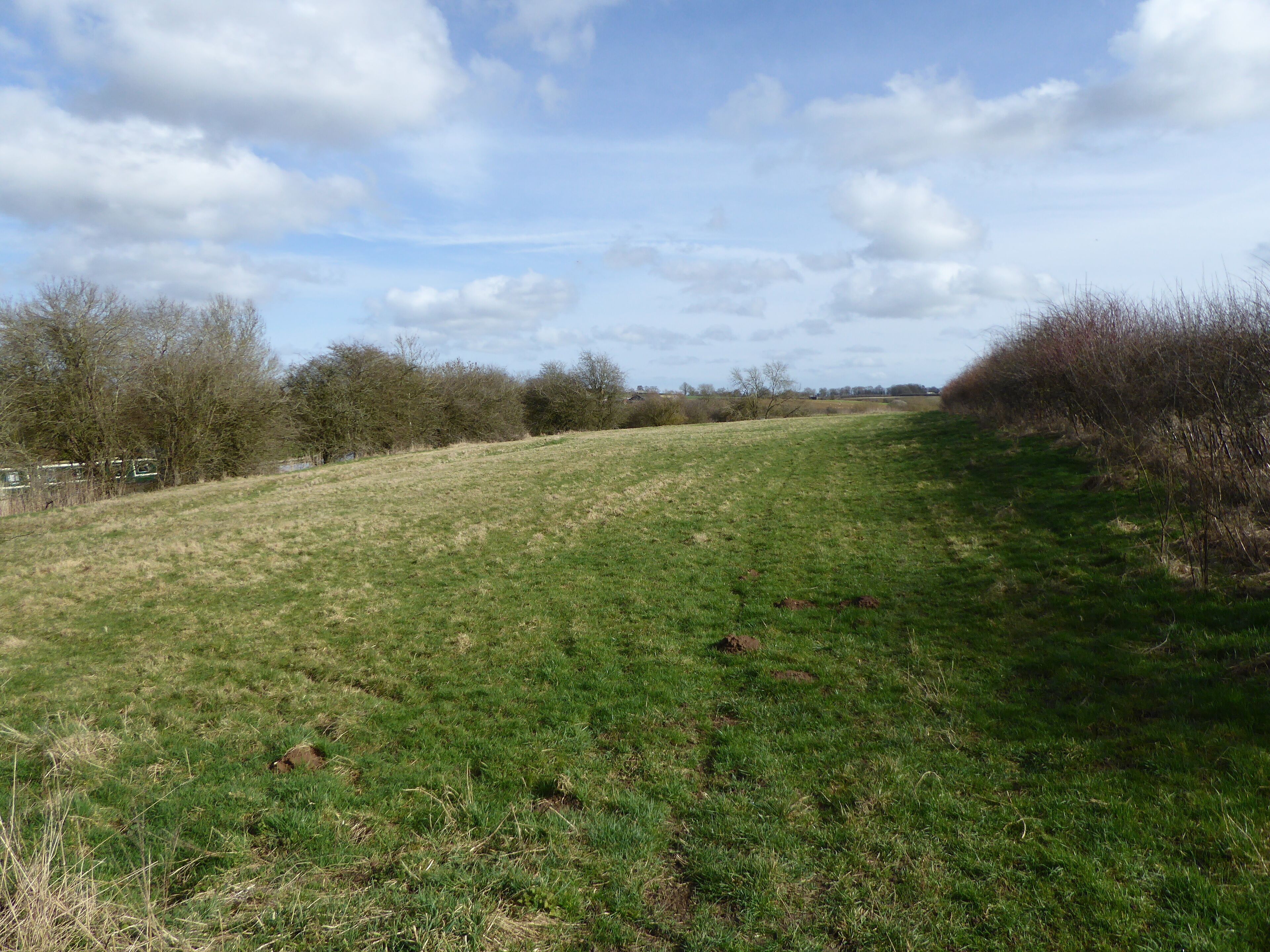 Bosworth Mill Meadow is a biological Site of Special Scientific Interest north-west of Welford in Northamptonshire.