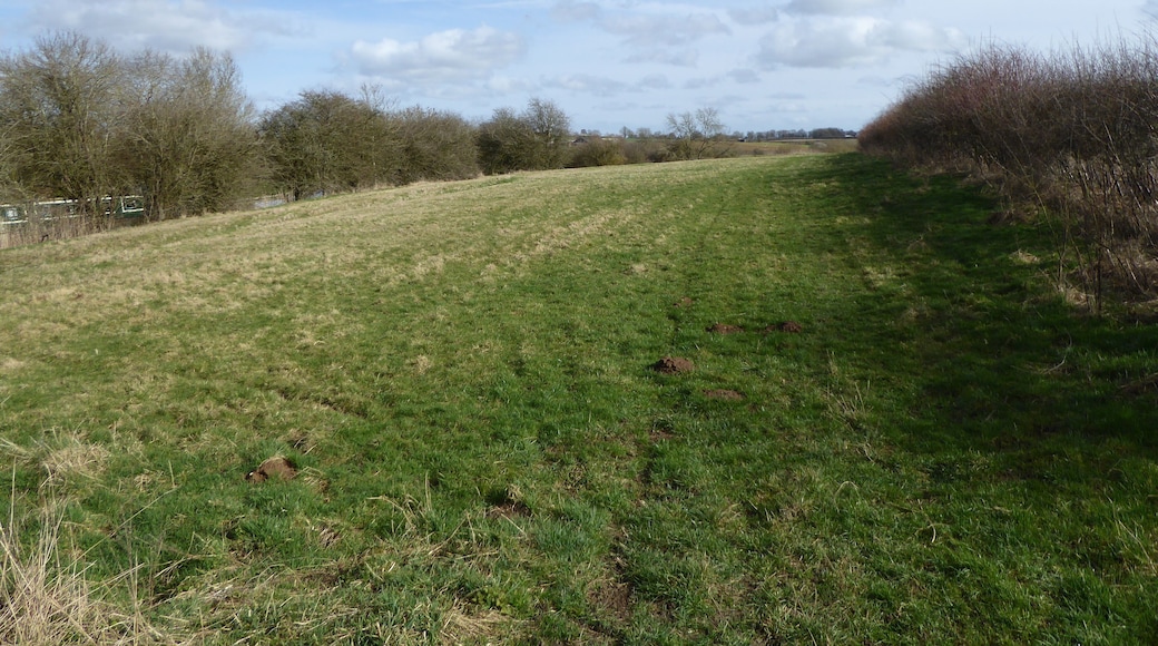Bosworth Mill Meadow is a biological Site of Special Scientific Interest north-west of Welford in Northamptonshire.