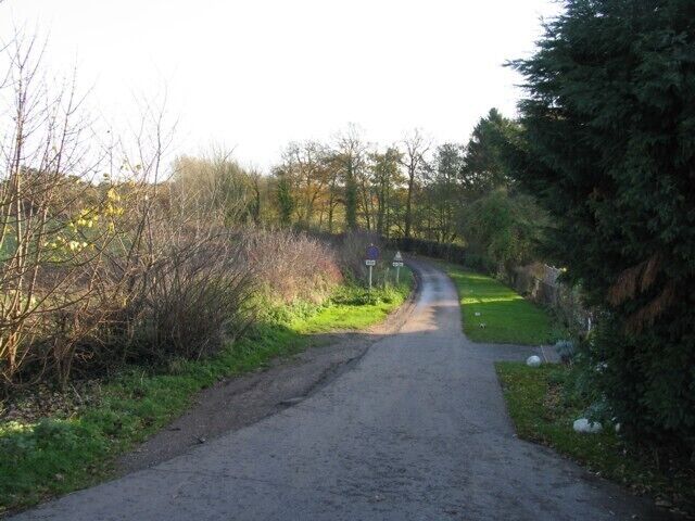 A narrow rural road flanked by dense vegetation and trees.