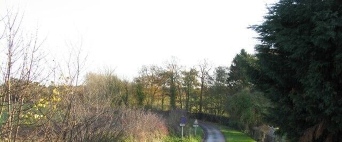 A narrow rural road flanked by dense vegetation and trees.