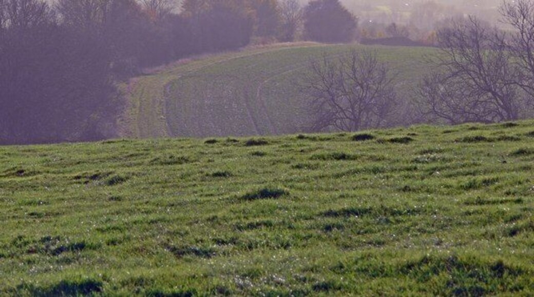 Countryside south of Ullesthorpe A public footpath crosses the fields, leading to the A5.
