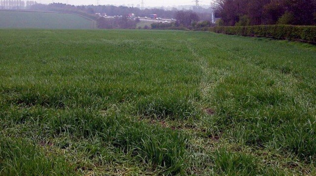 Dunton Bassett Undulating Field on East side of M1 Motorway, off Gilmorton Road