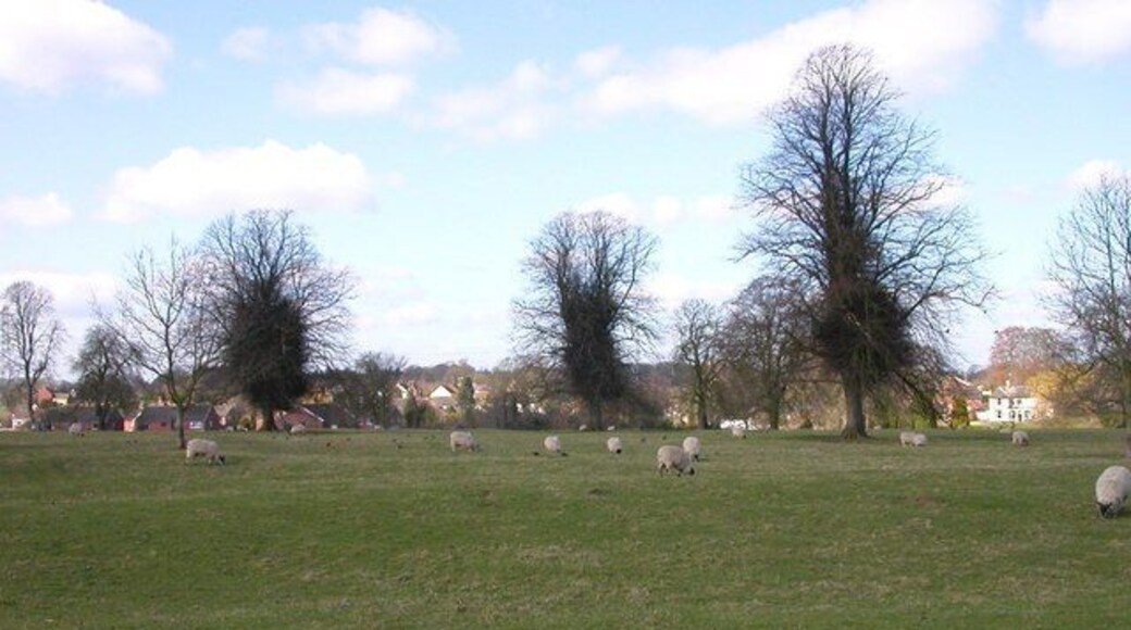 Walcote. Field east of Walcote off A4304