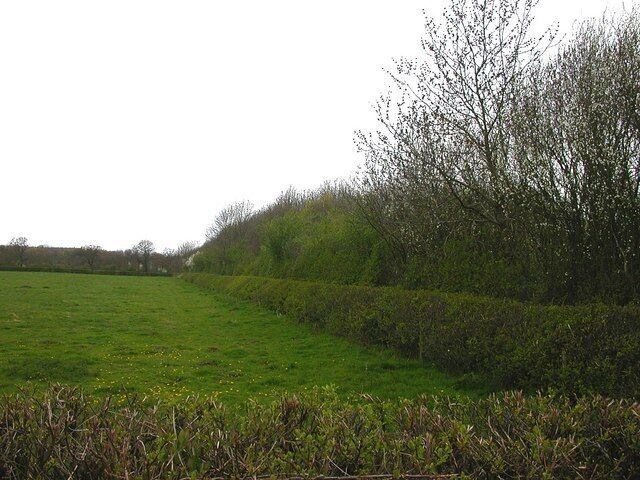 Upper Bruntingthorpe. Trees forming perimeter of airfield (this part now being an industrial estate) close to the road to Walton.