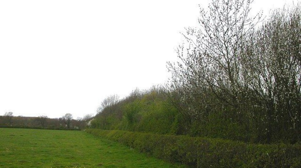 Upper Bruntingthorpe. Trees forming perimeter of airfield (this part now being an industrial estate) close to the road to Walton.