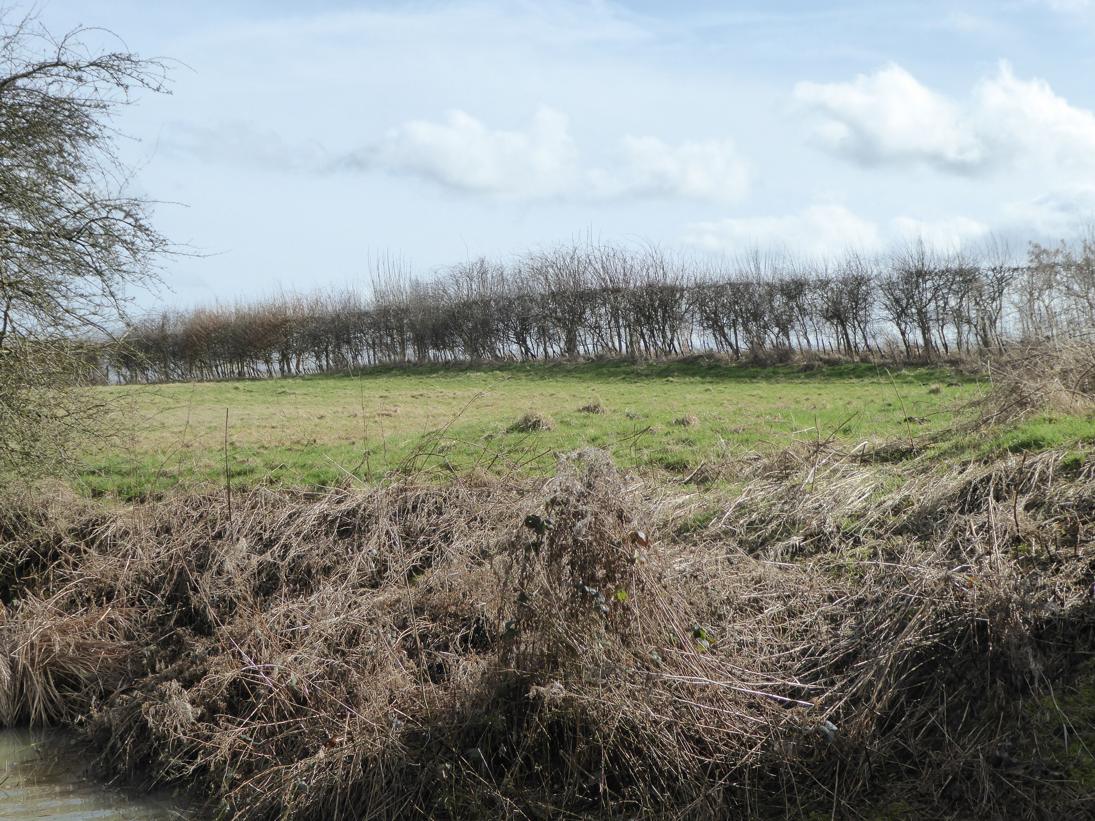 Bosworth Mill Meadow is a biological Site of Special Scientific Interest north-west of Welford in Northamptonshire.