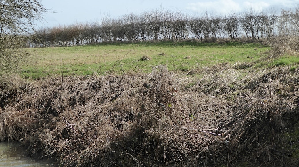 Bosworth Mill Meadow is a biological Site of Special Scientific Interest north-west of Welford in Northamptonshire.
