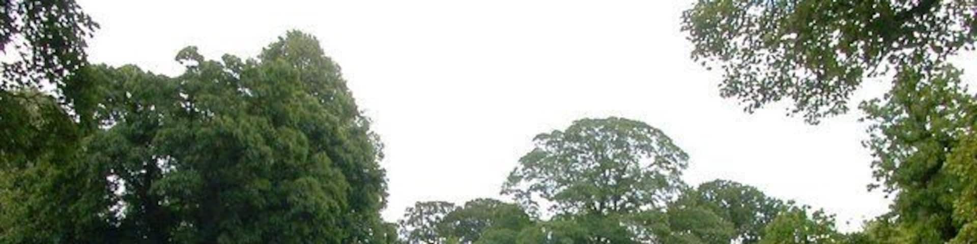 Husbands Bosworth Hall The road leading into the Hall.