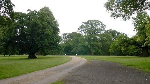 Husbands Bosworth Hall The road leading into the Hall.