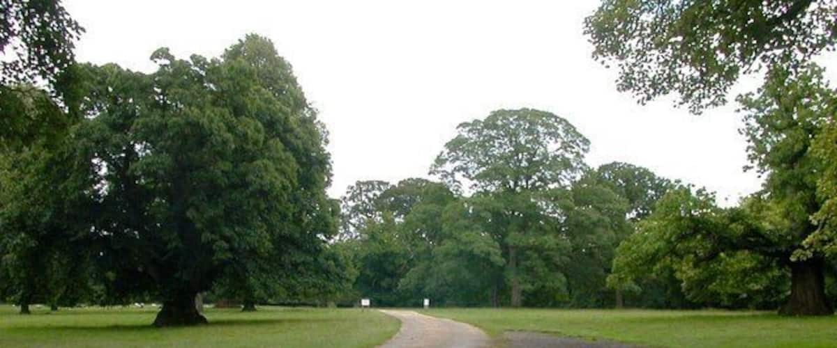 A rural road curving through a park with large trees and grassy areas.