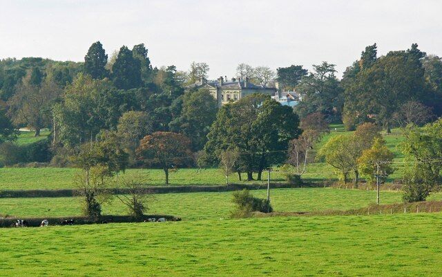A green field with a large tree, a small pond, and a building in the background.