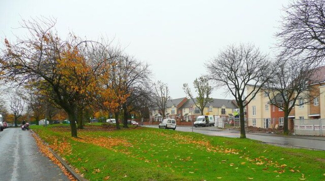 Patch of green by the Wychall Road Looking east on a rainy November morning.