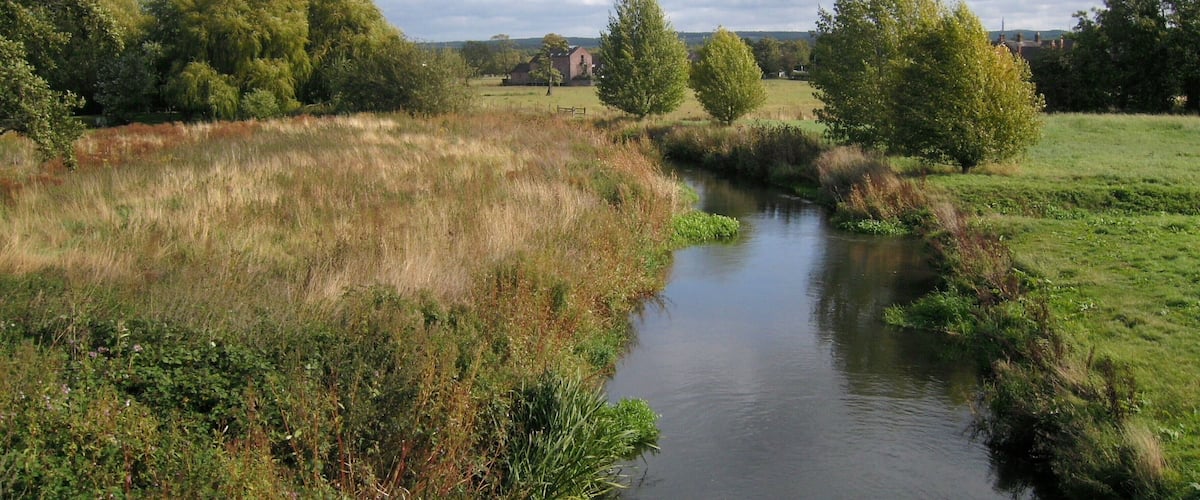 A river meandering through a rural landscape with trees and open fields.