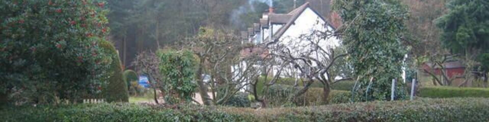 Cottages by Oakley Wood. These cottages near the Warwick - Banbury road are well sheltered by the adjacent woods. Someone has the fire alight after Santa's visit the night before!