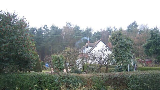 Cottages by Oakley Wood. These cottages near the Warwick - Banbury road are well sheltered by the adjacent woods. Someone has the fire alight after Santa's visit the night before!