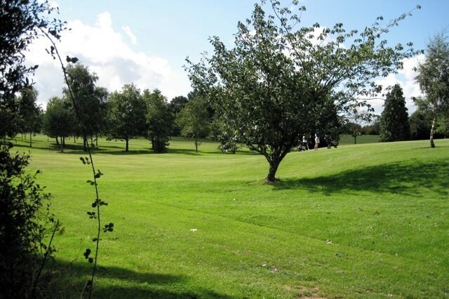 A grassy field with a large tree in the center and several smaller trees in the background.