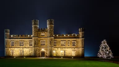 English castle with Christmas lights at night