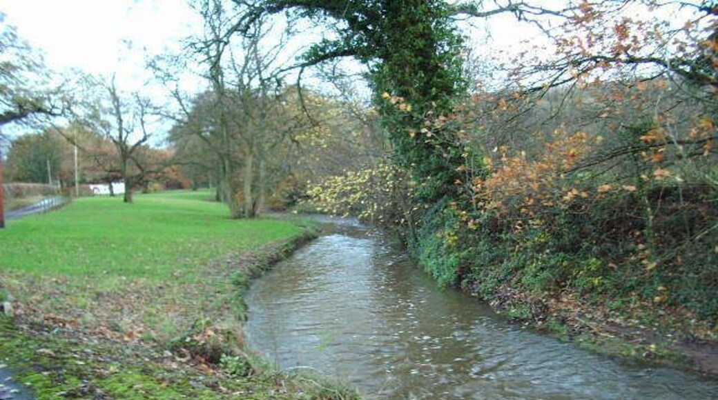 Bezza Brook In full flow after over night rain