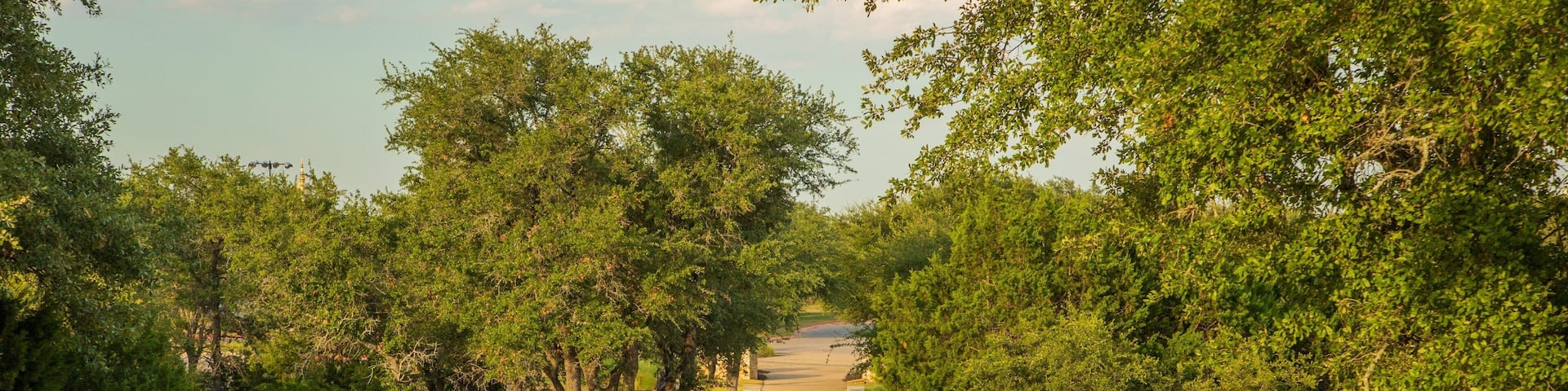 Cedar Park showing a park