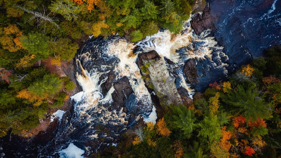 A river flowing through a forest with autumn-colored trees and rocky terrain.