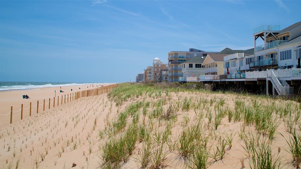 Fenwick Island showing general coastal views and a sandy beach
