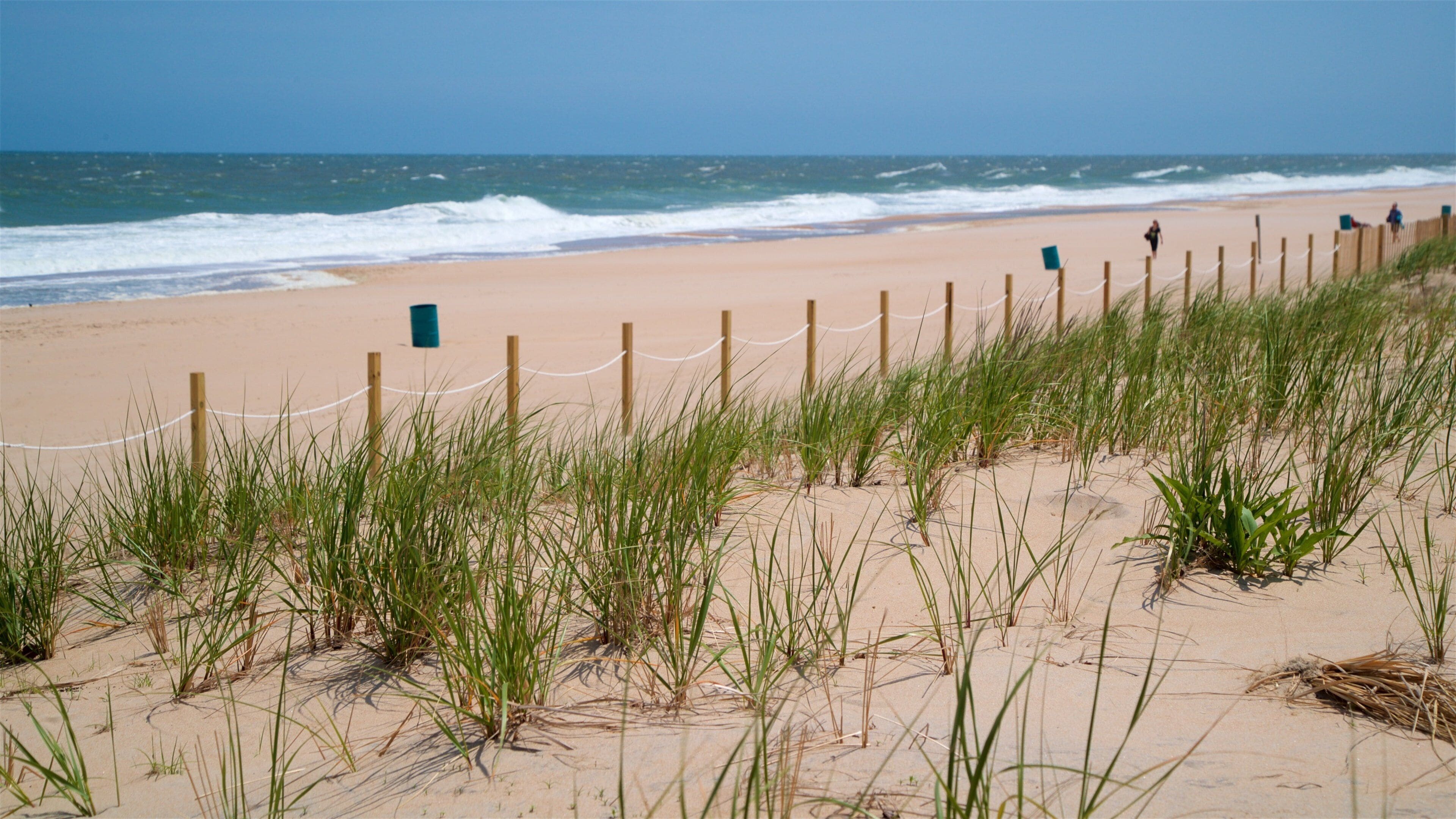 Fenwick Island welches beinhaltet Strand und allgemeine Küstenansicht