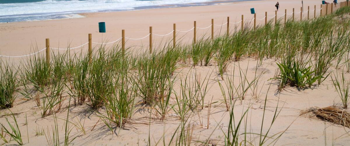 A sandy beach with a wooden fence and green grass in the foreground.