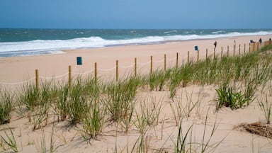 Fenwick Island showing general coastal views and a beach