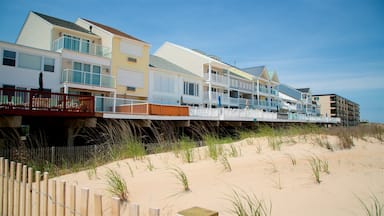 Fenwick Island có tính năng cảnh bờ biển và bãi biển