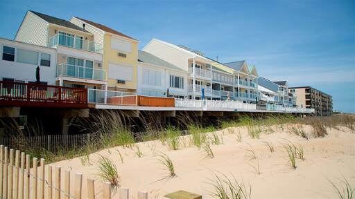 Fenwick Island showing a beach and general coastal views