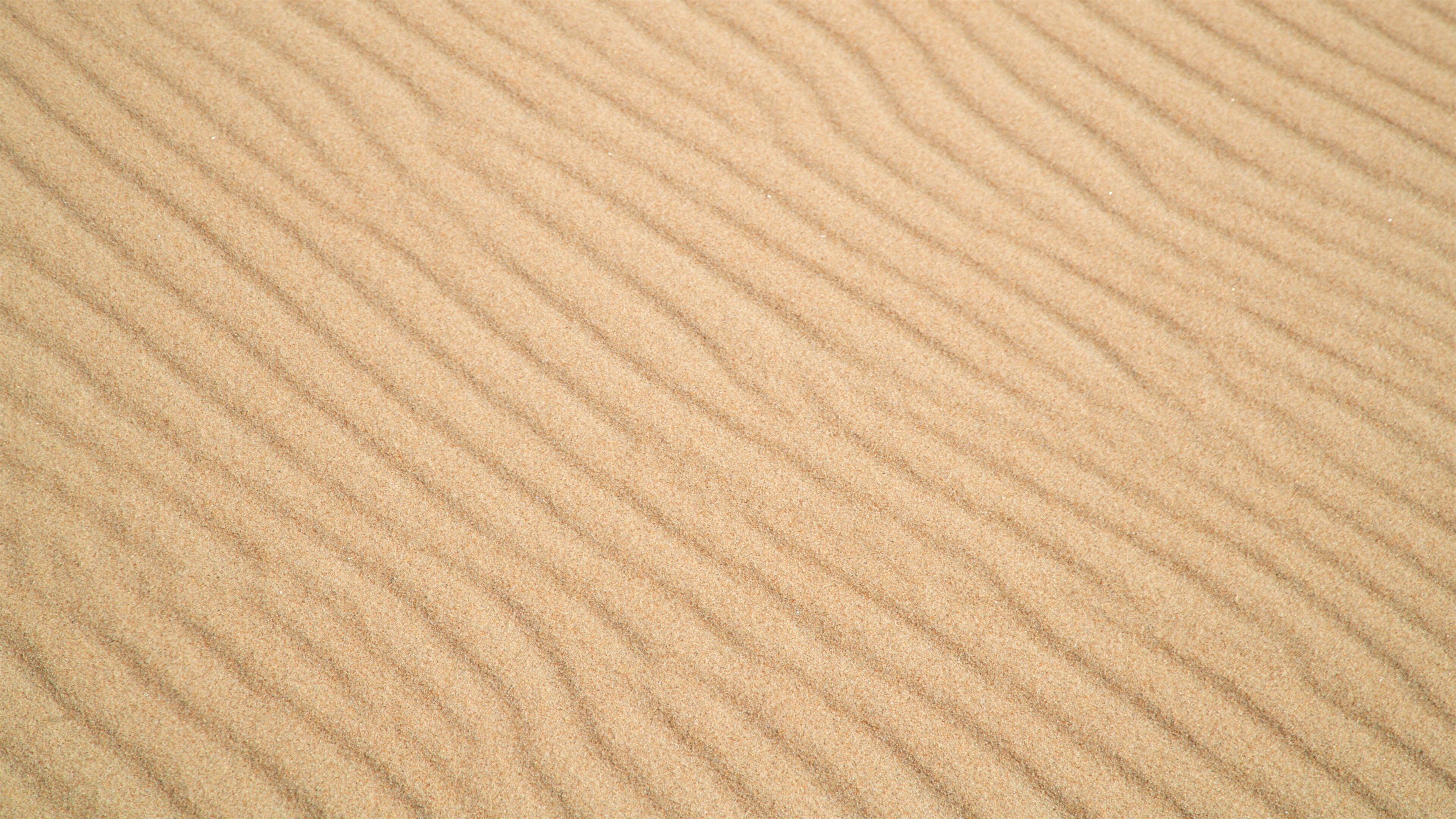 Fenwick Island showing a beach