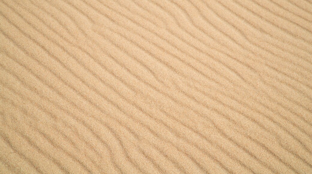 Fenwick Island showing a beach