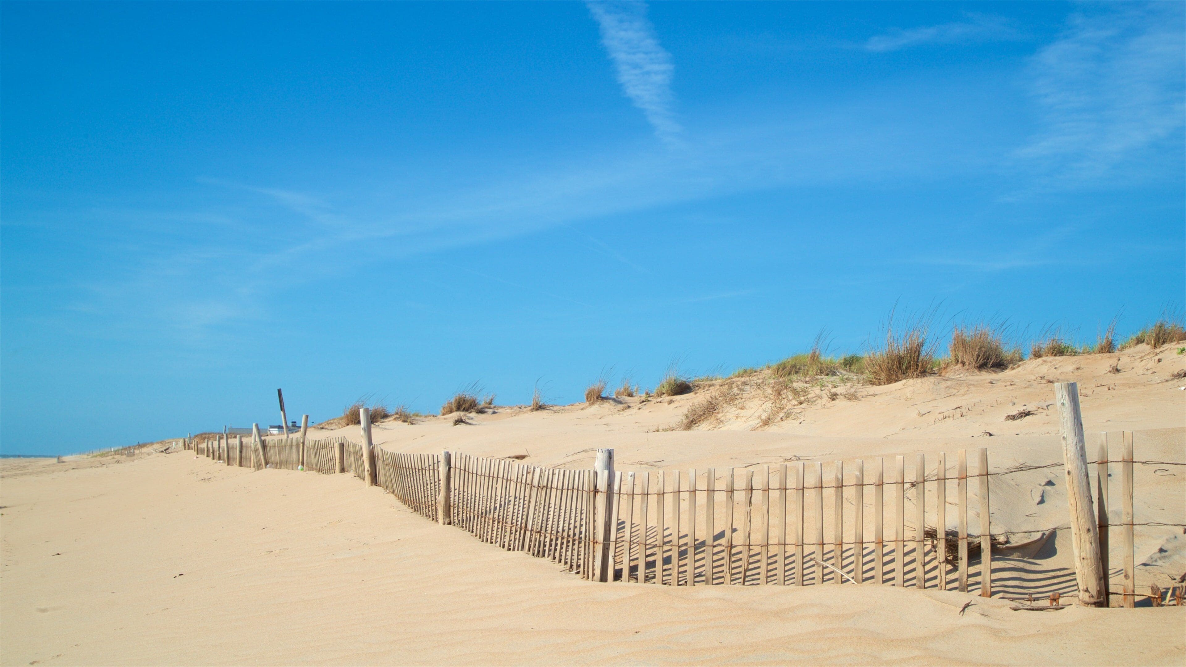 Fenwick Island State Park som inkluderar kustutsikter och en strand